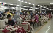 Gia tăng công nhân nữ trở về nông thôn