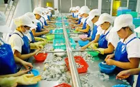 Seafood exports to China increase sharply