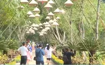 Khánh Hòa: Du lịch sinh thái đầu năm hút khách