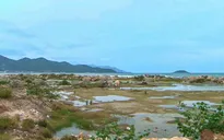 Khánh Hòa ngừng thực hiện dự án Nha Trang Sao