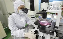 Hàn Quốc phát triển da nhân tạo