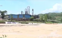 Kon Tum: Người dân sống gần nhà máy mì “kêu trời” vì mùi hôi