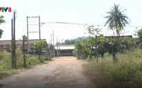 Nhà máy gạch gây ô nhiễm, hàng trăm hộ dân Quảng Nam kêu cứu