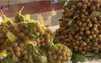 Lô nhãn Hưng Yên đầu tiên xuất khẩu sang Mỹ
