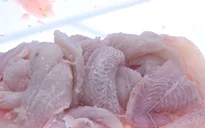 Trung Quốc - thị trường nhập khẩu cá tra lớn nhất của Việt Nam