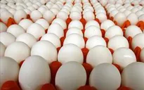Bắt đầu nhập khẩu trứng và muối từ 17/4