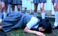 Tình trạng bắt nạt học đường phổ biến tại Nhật Bản