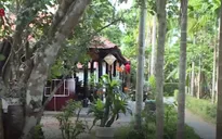 TT-Huế thúc đẩy phát triển loại hình du lịch homestay