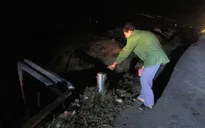 Tai nạn giao thông tại Ninh Thuận, 5 người thương vong