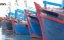 Ninh Thuận đảm bảo an toàn các khu vực xung yếu