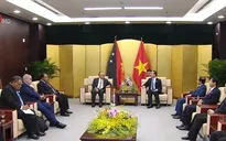 Chủ tịch nước tiếp Thủ tướng Papua New Guinea