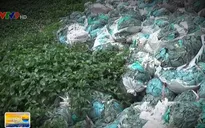Đồng Nai: 30 ngày để tháo dỡ nhà máy nhựa gây ô nhiễm