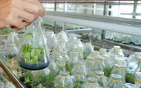 100.000 tỷ đồng cho nông nghiệp công nghệ cao: "Chìa khóa" nằm ở Chính phủ?