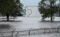 Nổ tại nhà máy hóa chất ở Mỹ do bão Harvey