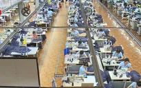 TP.HCM: Công bố danh sách các doanh nghiệp nợ thuế