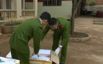 Bắt đối tượng vận chuyển hơn 200 kg nội tạng bẩn ở Sơn La