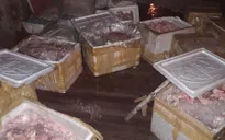 Nam Định: Bắt giữ hơn 1 tấn mỡ động vật không rõ nguồn gốc