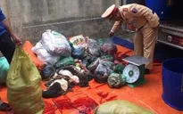 Thanh Hóa: Thu giữ gần 650 kg thịt, nội tạng trâu bò bốc mùi