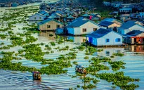 Làng nổi cá bè Châu Đốc - Vẻ đẹp vùng sông nước An Giang