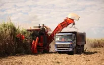 Khánh Hòa: Doanh nghiệp chưa mặn mà đầu tư vào nông nghiệp