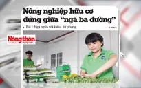 Người tiêu dùng "khát" sản phẩm nông nghiệp hữu cơ