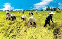 Tăng trưởng nông nghiệp vượt kế hoạch 2017