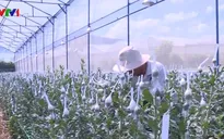 Đã giải ngân hơn 32.000 tỷ gói tín dụng ưu đãi nông nghiệp