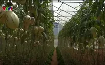 Khởi nghiệp bằng nông sản độc lạ