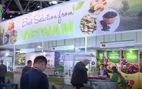 Thúc đẩy xuất khẩu hàng nông sản Việt Nam sang Nga