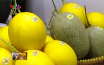 Xuất khẩu nông sản Việt Nam đạt kỷ lục mới