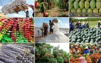 Xuất khẩu nông sản tăng 18% so với cùng kỳ năm 2016