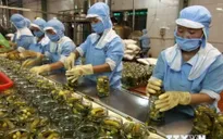 4,3 tỷ USD xuất khẩu nông, lâm, thủy sản