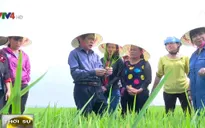 Tăng quyền năng cho phụ nữ - cách thúc đẩy phát triển kinh tế