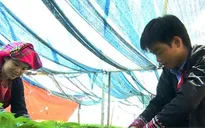 Việt Nam nỗ lực thực hiện mục tiêu quốc gia về bình đẳng giới