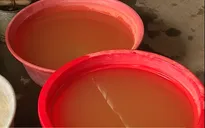 Khan hiếm nước sinh hoạt trầm trọng tại đảo Cát Hải, Hải Phòng