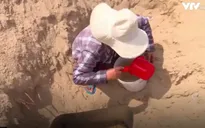 Người dân Khánh Hòa "khát" nước sạch sau bão lũ