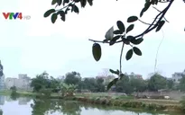 Luật Bảo vệ Môi trường chưa đủ để kiểm soát ô nhiễm nước