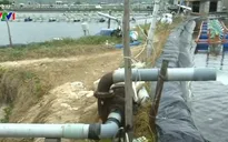 Suy thoái nước ngầm vùng nuôi tôm