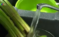 TP.HCM sắp hoàn thành cấp nước sạch