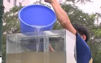 Biến nước sông Tô Lịch thành nước tinh khiết - Chuyện thật khó tin!