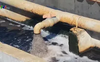 Quảng Trị: Bức xúc doanh nghiệp xả thải trái phép ra môi trường