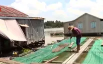 Hiệu quả mô hình nuôi cá lồng bè trên sông biên giới