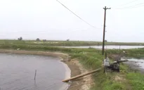 Nuôi trồng thủy sản gặp khó do thời tiết bất thường
