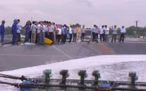 Nuôi tôm trên cát - Hướng đi phù hợp cho ngư dân miền Trung