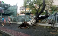 Bão số 12 đổ bộ, gây thiệt hại nặng cho tỉnh Khánh Hòa