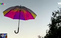 Oombrella - Ô thông minh dự báo thời tiết