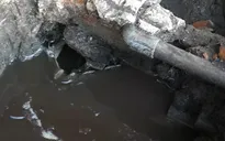 Bà Rịa - Vũng Tàu: DN vẫn lén lút xả thải ra đầm Tân Hải