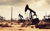 Viễn cảnh OPEC bắt tay với các công ty dầu khí đá phiến