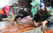 Sôi động chợ Tết phục vụ lễ cúng ông Công ông Táo