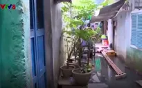 TT-Huế: Ô nhiễm môi trường nghiêm trọng ở Hộ Thành hào